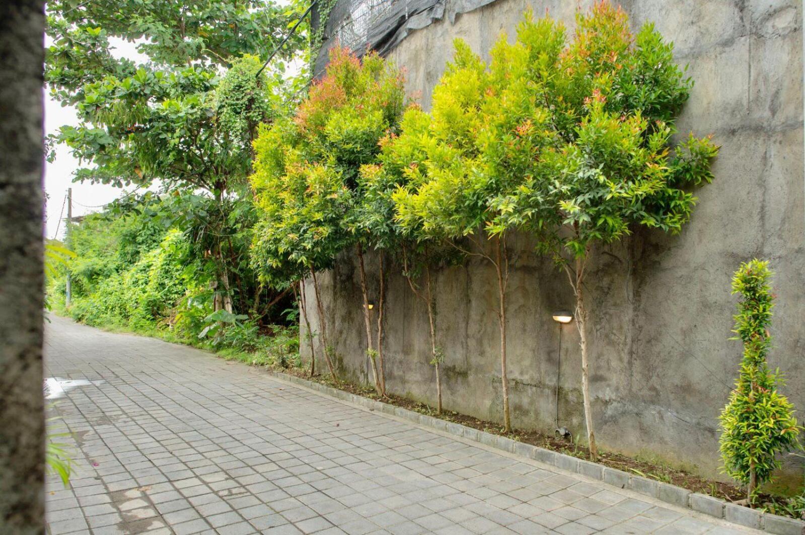 A7 Guesthouse Canggu Eksteriør billede
